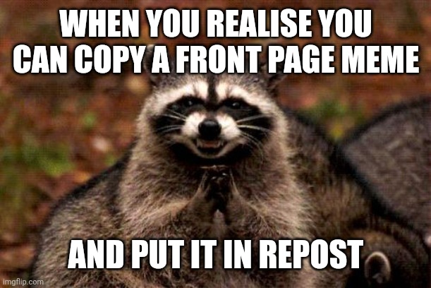 Evil Plotting Raccoon | WHEN YOU REALISE YOU CAN COPY A FRONT PAGE MEME; AND PUT IT IN REPOST | image tagged in memes,evil plotting raccoon | made w/ Imgflip meme maker