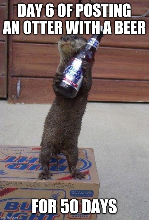 Day six of posting an otter with a beer for 50 days | DAY 6 OF POSTING AN OTTER WITH A BEER; FOR 50 DAYS | image tagged in beer otter,otters,funny,animals,funny memes | made w/ Imgflip meme maker