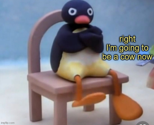 Angry pingu | right I'm going to be a cow now | image tagged in angry pingu | made w/ Imgflip meme maker
