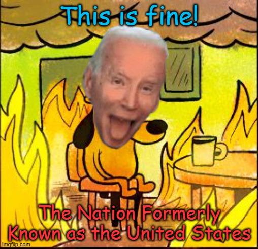 Biden's Half Price America | This is fine! The Nation Formerly Known as the United States | image tagged in this is fine | made w/ Imgflip meme maker