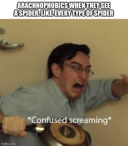 *confused screaming* | ARACHNOPHOBICS WHEN THEY SEE A SPIDER. LIKE. EVERY TYPE OF SPIDER | image tagged in filthy frank confused scream,arachnophobia | made w/ Imgflip meme maker