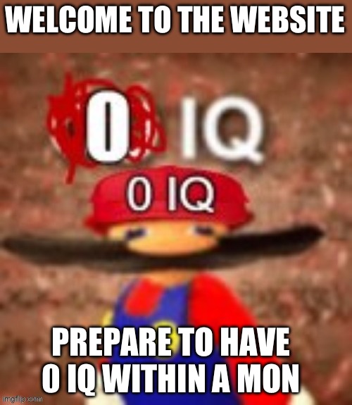 WELCOME TO THE WEBSITE PREPARE TO HAVE 0 IQ WITHIN A MONTH | image tagged in zero iq | made w/ Imgflip meme maker