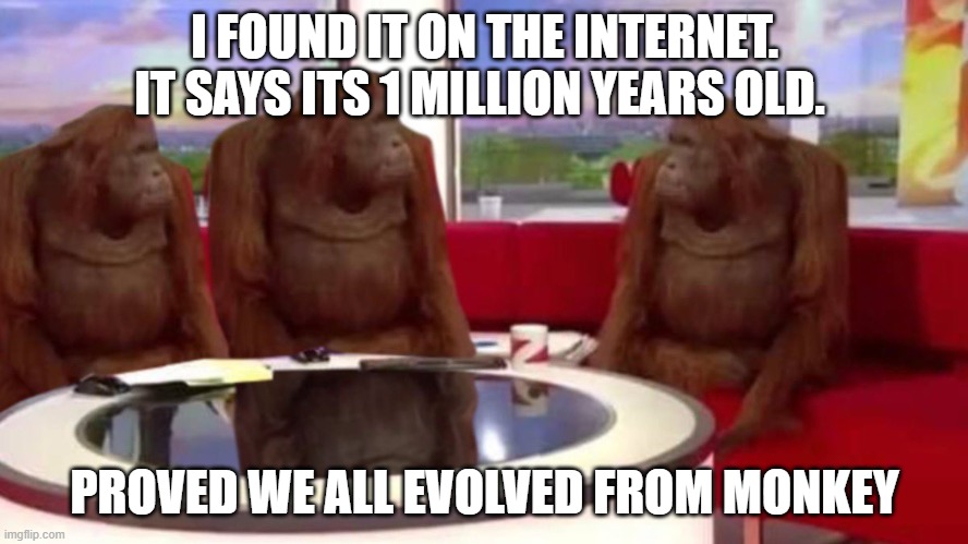 HENCE PROVED | I FOUND IT ON THE INTERNET. IT SAYS ITS 1 MILLION YEARS OLD. PROVED WE ALL EVOLVED FROM MONKEY | image tagged in orangutan interview | made w/ Imgflip meme maker