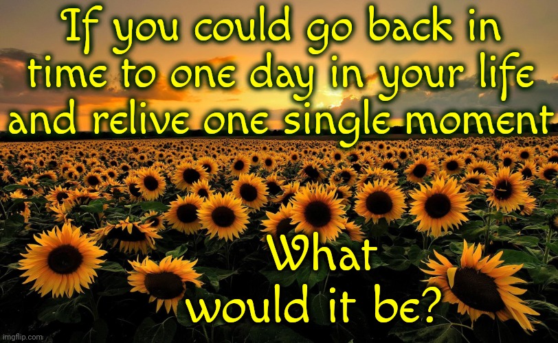 Tough Question | If you could go back in time to one day in your life and relive one single moment; What would it be? | image tagged in field of sunflowers,if you're happy and you know it,memories,memes,good bad and ugly | made w/ Imgflip meme maker
