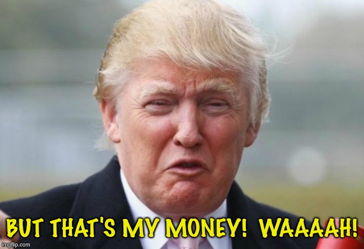 Trump Crybaby | BUT THAT'S MY MONEY!  WAAAAH! | image tagged in trump crybaby | made w/ Imgflip meme maker