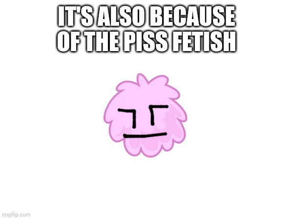 IT'S ALSO BECAUSE OF THE PISS FETISH | made w/ Imgflip meme maker