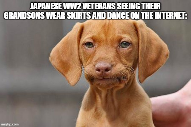 They would be burned alive if they were born in WW2. | JAPANESE WW2 VETERANS SEEING THEIR GRANDSONS WEAR SKIRTS AND DANCE ON THE INTERNET: | image tagged in dissapointed puppy | made w/ Imgflip meme maker