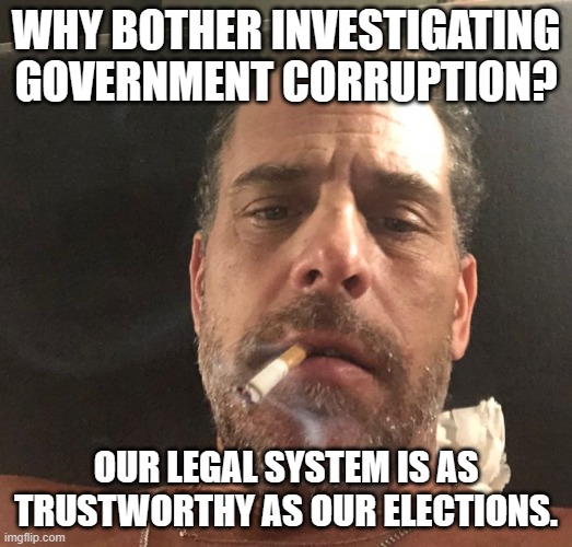 Do not expect much | WHY BOTHER INVESTIGATING GOVERNMENT CORRUPTION? OUR LEGAL SYSTEM IS AS TRUSTWORTHY AS OUR ELECTIONS. | image tagged in hunter biden,no not expect much,just us system,government corruption,nothing will change,rigged elections | made w/ Imgflip meme maker