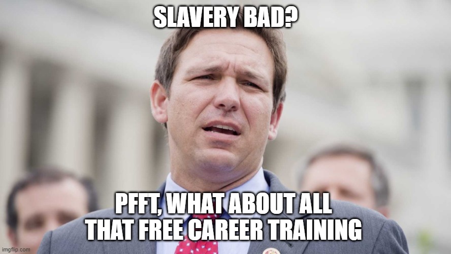 FL Education in Desantistan | SLAVERY BAD? PFFT, WHAT ABOUT ALL THAT FREE CAREER TRAINING | image tagged in ron desantis,gop,slavery,education | made w/ Imgflip meme maker