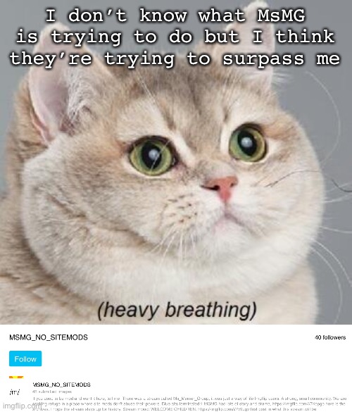 40 followers, and just 45 images. I’m afraid I’m losing the battle | I don’t know what MsMG is trying to do but I think they’re trying to surpass me | image tagged in memes,heavy breathing cat | made w/ Imgflip meme maker