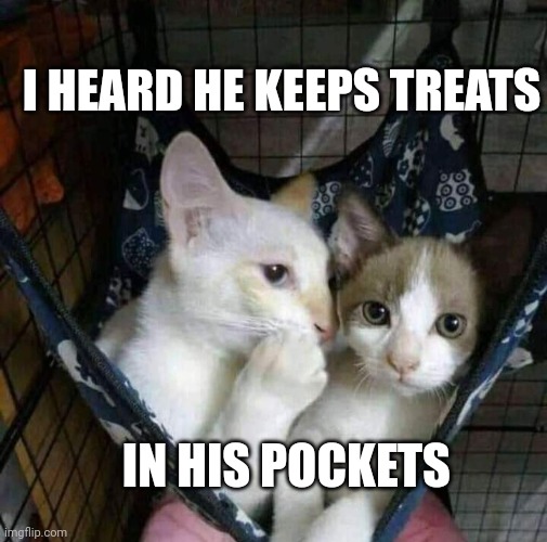 Whisper | I HEARD HE KEEPS TREATS; IN HIS POCKETS | image tagged in whisper | made w/ Imgflip meme maker