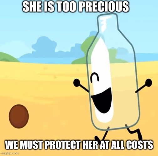 She’s way too precious | SHE IS TOO PRECIOUS; WE MUST PROTECT HER AT ALL COSTS | image tagged in bfb | made w/ Imgflip meme maker