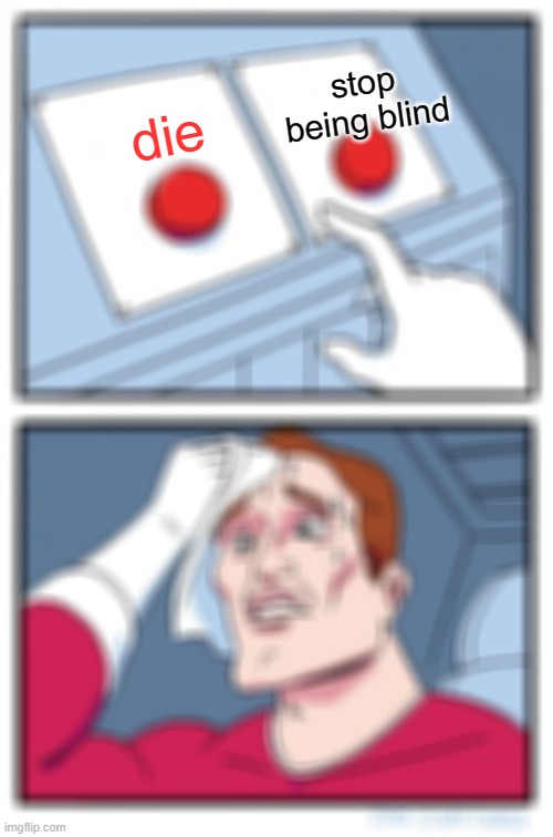 Two Buttons Meme | stop being blind; die | image tagged in memes,two buttons | made w/ Imgflip meme maker