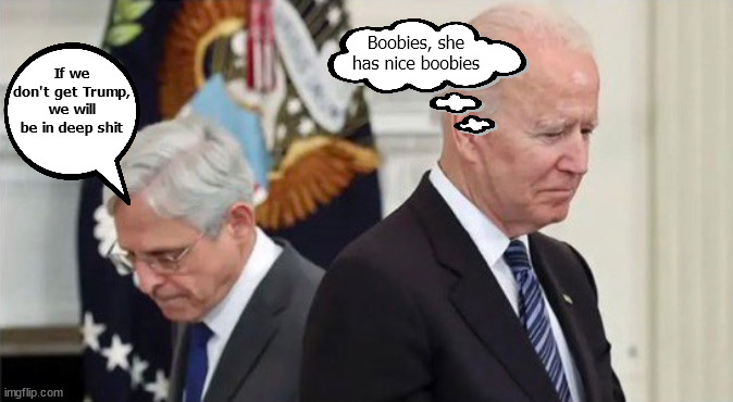 boobies | Boobies, she has nice boobies; If we don't get Trump, we will be in deep shit | image tagged in garland and biden | made w/ Imgflip meme maker