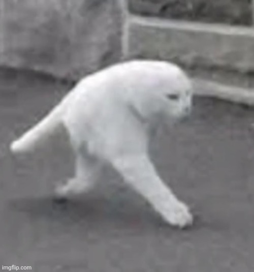 #3,139 | image tagged in cursed image,cursed,walking,legs,cats,wtf | made w/ Imgflip meme maker