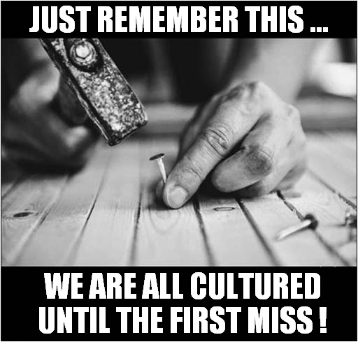 I'm Speaking From Experience ! | JUST REMEMBER THIS ... WE ARE ALL CULTURED UNTIL THE FIRST MISS ! | image tagged in fun,cultured,hammer,swearing | made w/ Imgflip meme maker