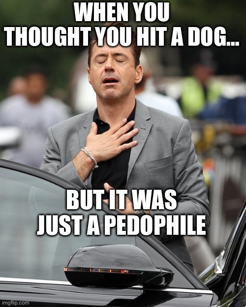 Relief | WHEN YOU THOUGHT YOU HIT A DOG…; BUT IT WAS JUST A PEDOPHILE | image tagged in relief,pedophile,children,maga,donald trump,robert downey jr | made w/ Imgflip meme maker