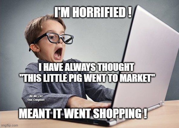 Shocked kid on computer | I'M HORRIFIED ! I HAVE ALWAYS THOUGHT  "THIS LITTLE PIG WENT TO MARKET"; MEMEs bt Dan Campbell; MEANT IT WENT SHOPPING ! | image tagged in shocked kid on computer | made w/ Imgflip meme maker