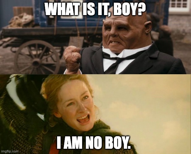 Ooops | WHAT IS IT, BOY? I AM NO BOY. | image tagged in strax,lotr,tolkien,doctor who,eowyn | made w/ Imgflip meme maker