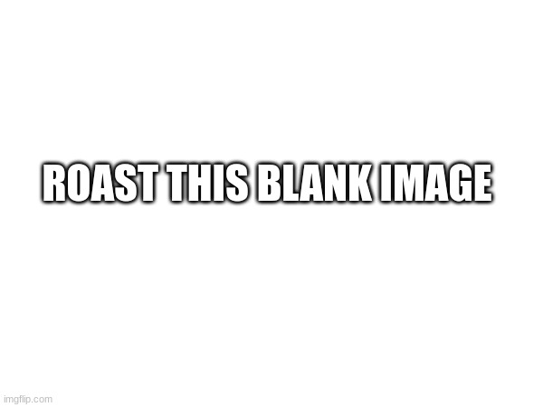 Roast this blank image | ROAST THIS BLANK IMAGE | made w/ Imgflip meme maker