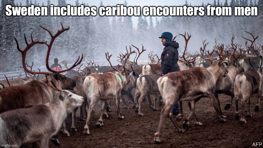 Sweden includes caribou encounters from men | made w/ Imgflip meme maker