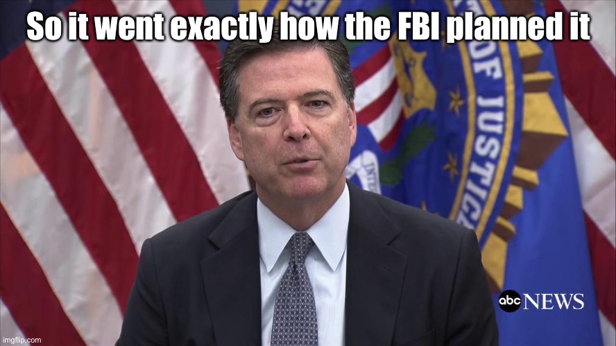 FBI Director James Comey | So it went exactly how the FBI planned it | image tagged in fbi director james comey | made w/ Imgflip meme maker