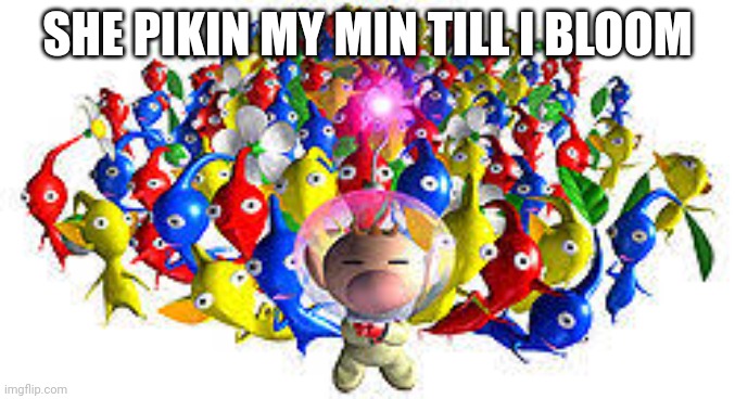 Pikmins | SHE PIKIN MY MIN TILL I BLOOM | image tagged in pikmins | made w/ Imgflip meme maker