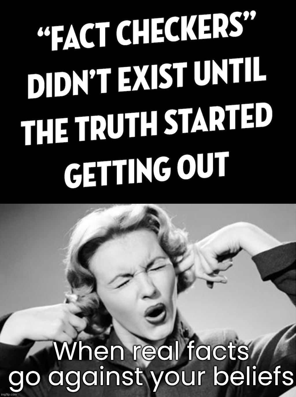 When real facts go against your beliefs | image tagged in if i ignore the truth it will go away,political meme | made w/ Imgflip meme maker