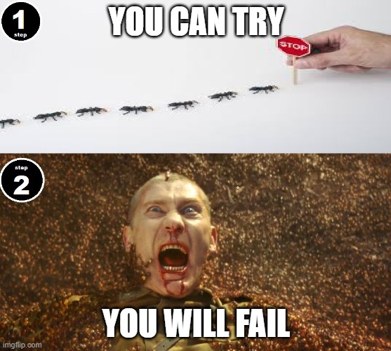 when you fall for that 100% guarentee | YOU CAN TRY; YOU WILL FAIL | image tagged in fun,ants,ants not pants | made w/ Imgflip meme maker