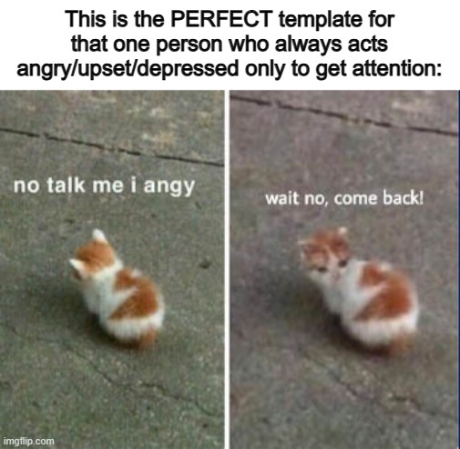 That cat is so cute btw ^-^ | This is the PERFECT template for that one person who always acts angry/upset/depressed only to get attention: | image tagged in no talk me i angy wait no come back | made w/ Imgflip meme maker