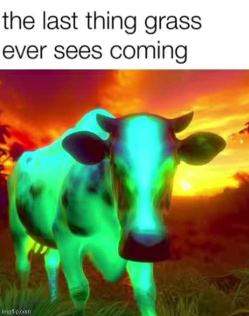 Meme #3,158 | image tagged in memes,repost,evil cows,cows,grass,death | made w/ Imgflip meme maker