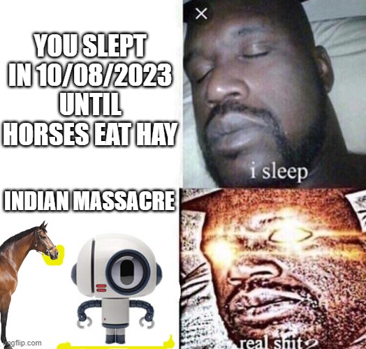 The Incident Of India | YOU SLEPT IN 10/08/2023 UNTIL HORSES EAT HAY; INDIAN MASSACRE | image tagged in i sleep real shit | made w/ Imgflip meme maker