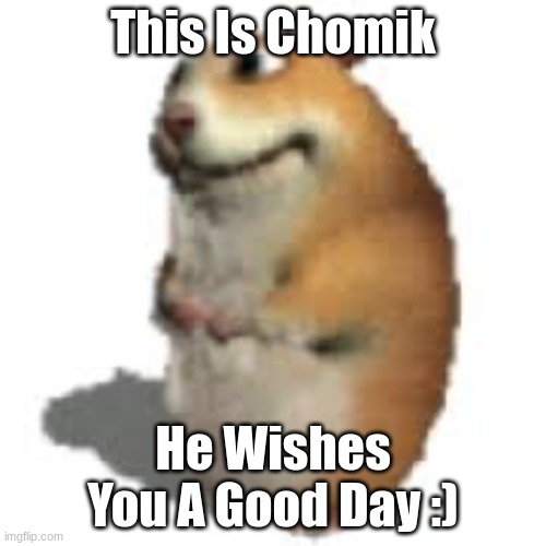 Chomik | This Is Chomik; He Wishes You A Good Day :) | image tagged in chomik,memes,funny | made w/ Imgflip meme maker
