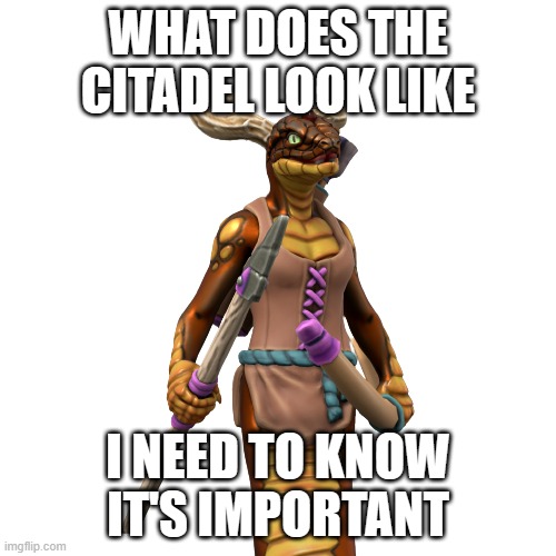 Can someone draw it for me? | WHAT DOES THE CITADEL LOOK LIKE; I NEED TO KNOW IT'S IMPORTANT | image tagged in awenasa 2 | made w/ Imgflip meme maker