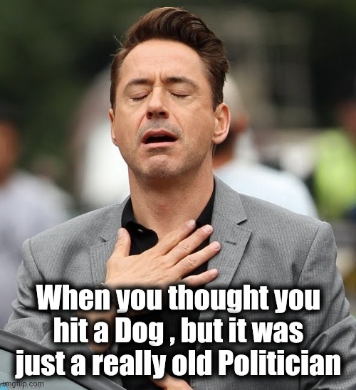 relieved | When you thought you hit a Dog , but it was just a really old Politician | image tagged in relieved | made w/ Imgflip meme maker