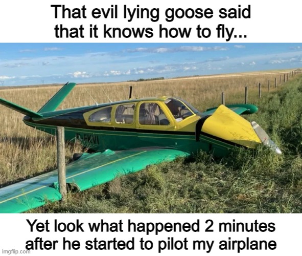 I think he meant something else- | That evil lying goose said that it knows how to fly... Yet look what happened 2 minutes after he started to pilot my airplane | made w/ Imgflip meme maker