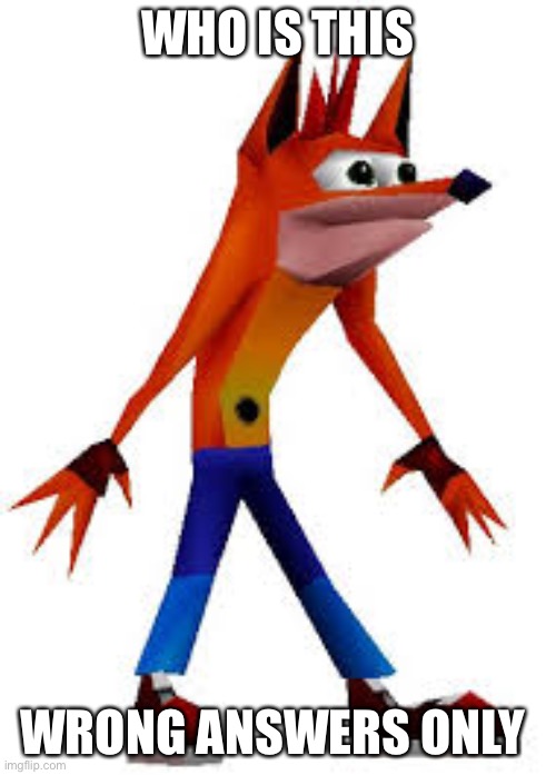 Crash Bandicoot | WHO IS THIS; WRONG ANSWERS ONLY | image tagged in crash bandicoot | made w/ Imgflip meme maker