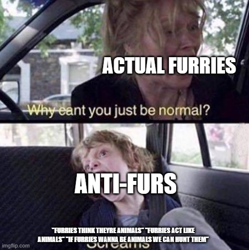 Why Can't You Just Be Normal | ACTUAL FURRIES; ANTI-FURS; "FURRIES THINK THEYRE ANIMALS" "FURRIES ACT LIKE ANIMALS" "IF FURRIES WANNA BE ANIMALS WE CAN HUNT THEM" | image tagged in why can't you just be normal | made w/ Imgflip meme maker