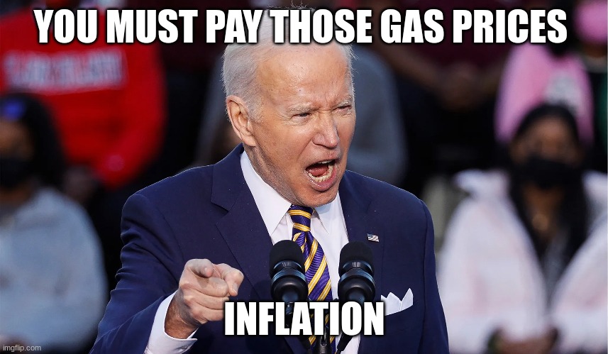 the government | YOU MUST PAY THOSE GAS PRICES; INFLATION | image tagged in government | made w/ Imgflip meme maker