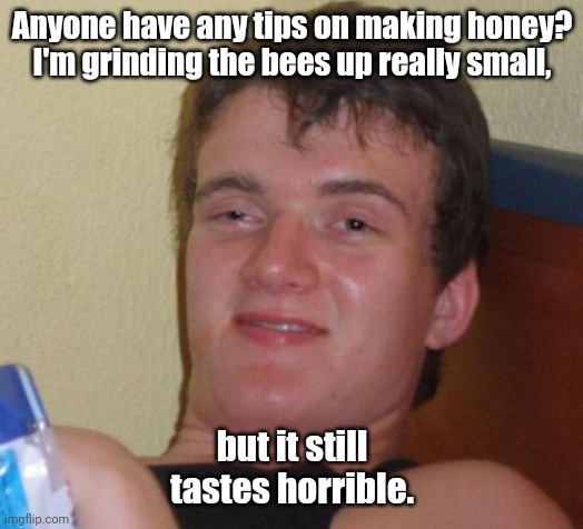 Son of a bee. | Anyone have any tips on making honey? I'm grinding the bees up really small, but it still tastes horrible. | image tagged in memes,10 guy,funny | made w/ Imgflip meme maker