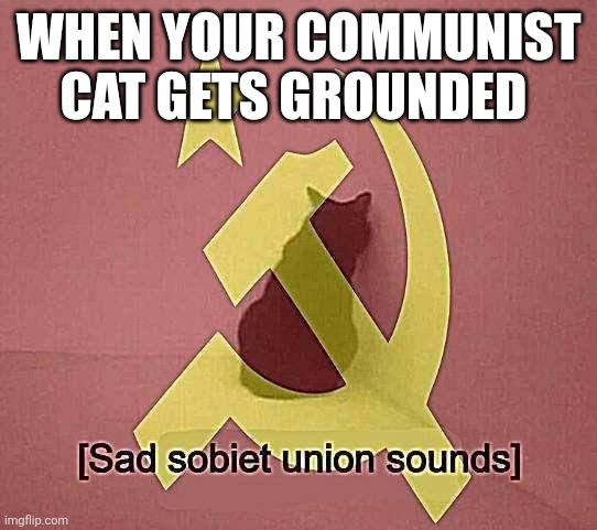You're grounded Ivan! | WHEN YOUR COMMUNIST CAT GETS GROUNDED | image tagged in sad sobiet union sounds,cats,communism,jpfan102504 | made w/ Imgflip meme maker
