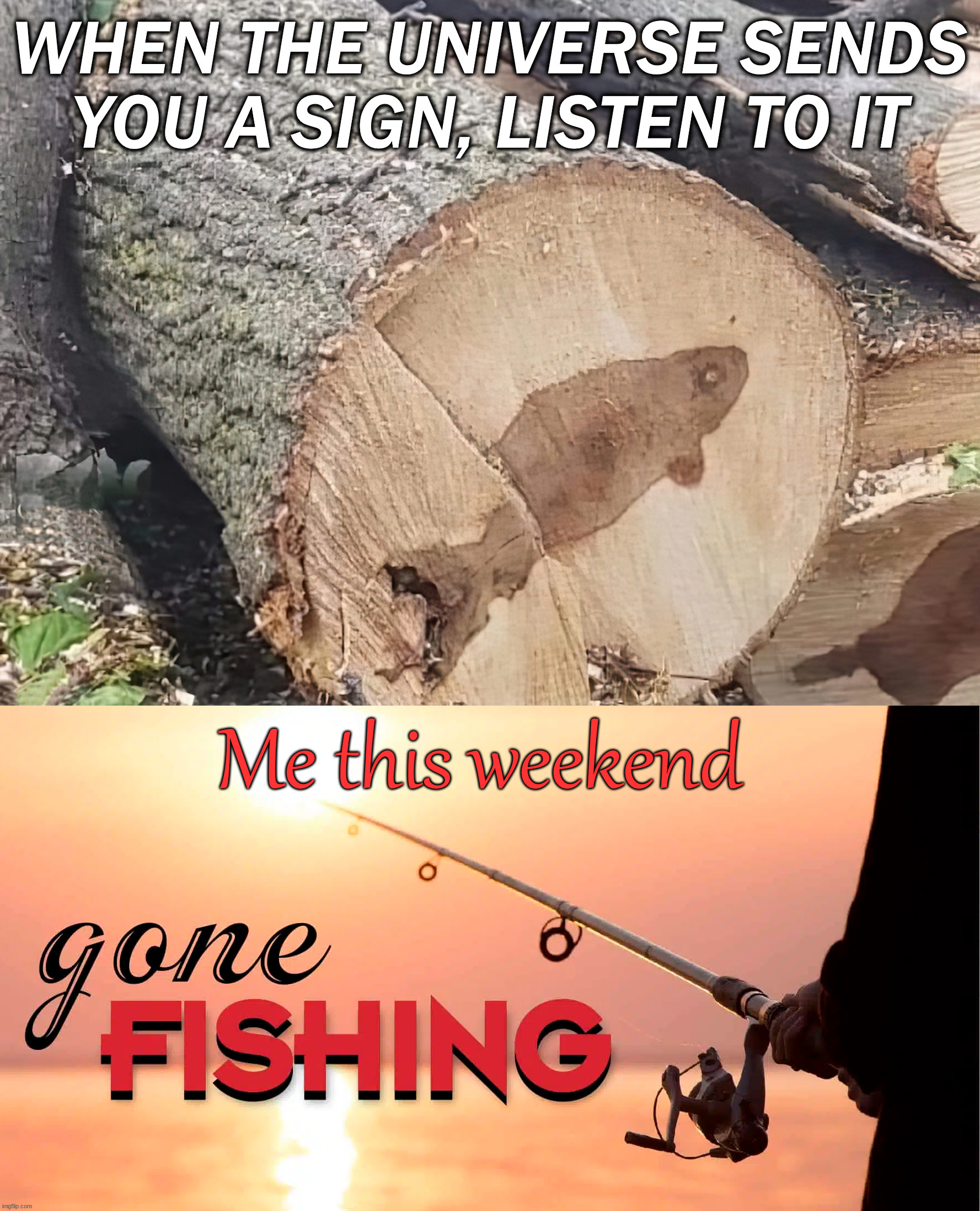 Universe sends you a sign | WHEN THE UNIVERSE SENDS YOU A SIGN, LISTEN TO IT; Me this weekend | image tagged in gone fishing,signs,universe,listening | made w/ Imgflip meme maker