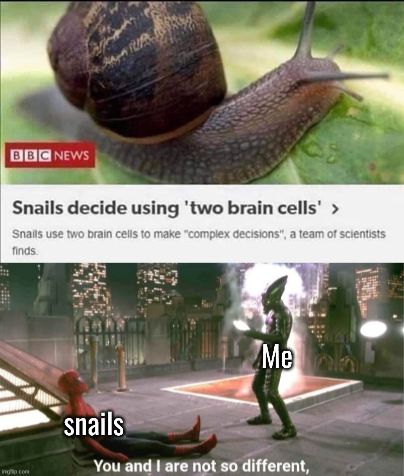 Wow, so much in common with snails | Me; snails | image tagged in you and i are not so diffrent,snails,brain cells,ooh self-burn those are rare | made w/ Imgflip meme maker