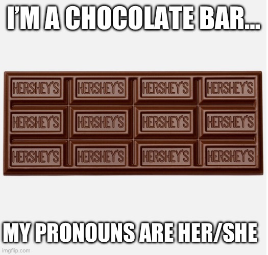 Her/She Chocolate Bar | I’M A CHOCOLATE BAR…; MY PRONOUNS ARE HER/SHE | image tagged in chocolate,pronouns | made w/ Imgflip meme maker