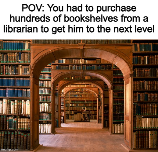 ... | POV: You had to purchase hundreds of bookshelves from a librarian to get him to the next level | made w/ Imgflip meme maker