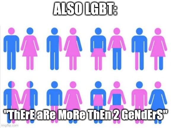 Gender chart 58 genders | ALSO LGBT: "ThErE aRe MoRe ThEn 2 GeNdErS" | image tagged in gender chart 58 genders | made w/ Imgflip meme maker