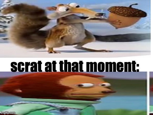 I dont know if he's sure about it | scrat at that moment: | image tagged in scrat,blue skies studio,fun | made w/ Imgflip meme maker