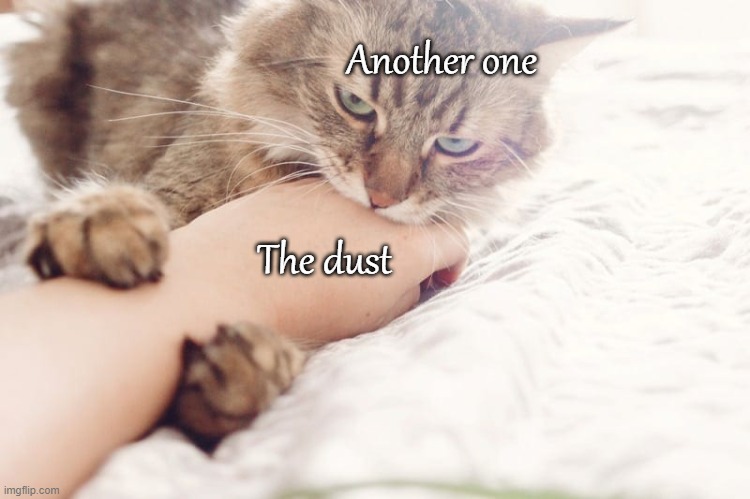 Another one; The dust | image tagged in another one bites the dust | made w/ Imgflip meme maker