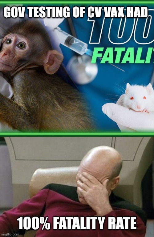 GOV TESTING OF CV VAX HAD; 100% FATALITY RATE | image tagged in memes,captain picard facepalm | made w/ Imgflip meme maker