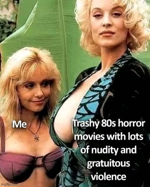 80's horror | image tagged in horror,repost,funny,movies,1980s | made w/ Imgflip meme maker